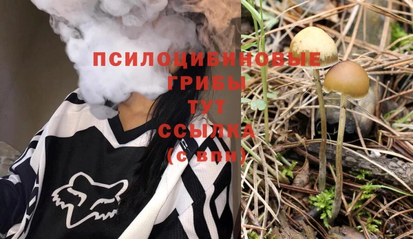 прущая мука Киреевск