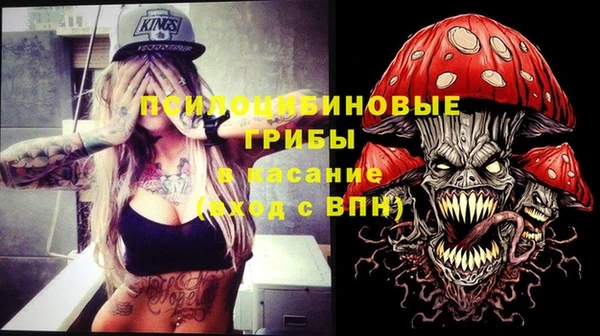 2c-b Коряжма