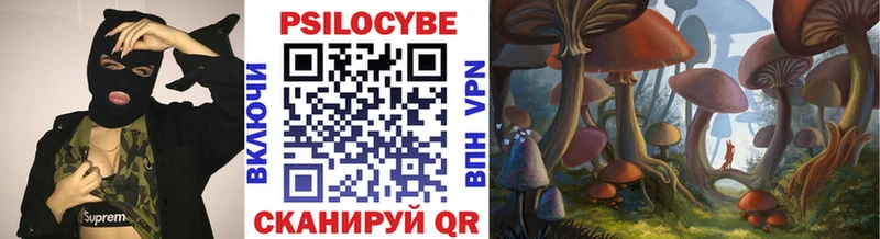 Галлюциногенные грибы Psilocybe Краснозаводск